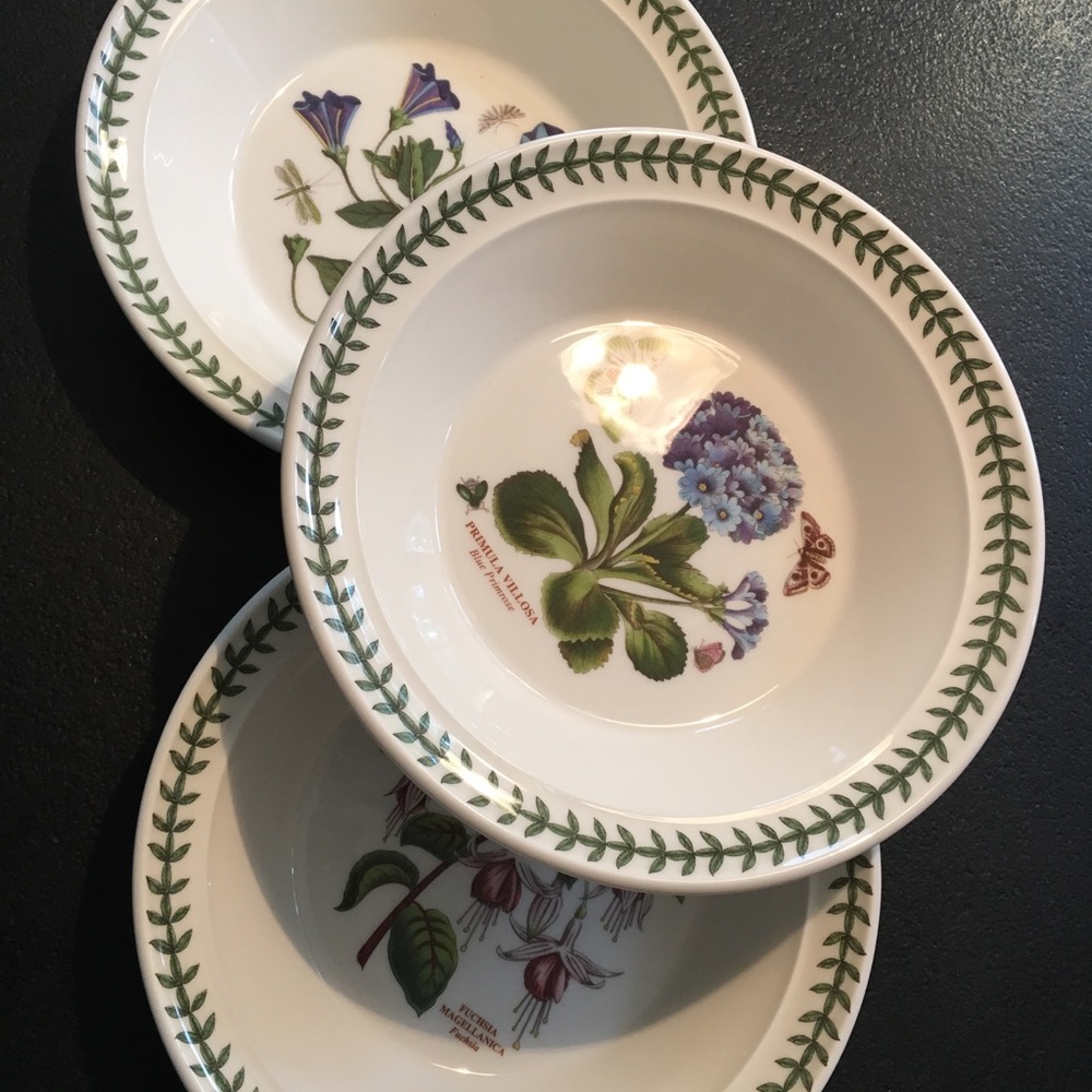 PORTMEIRION Rimmed 10.5” Bowls